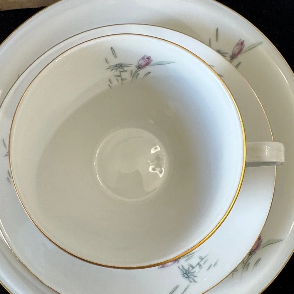 Bavaria Floral Wild Flower Porcelain Tea Cup and saucer Set with desert plate.